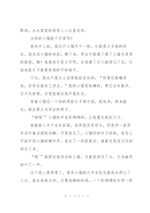 小猫的作文600字五篇.docx