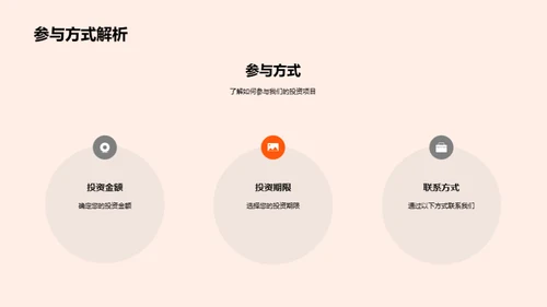 项目投资策略解析