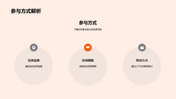 项目投资策略解析