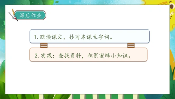 【核心素养】部编版语文三年级下册-14. 蜜蜂 第1课时（课件）
