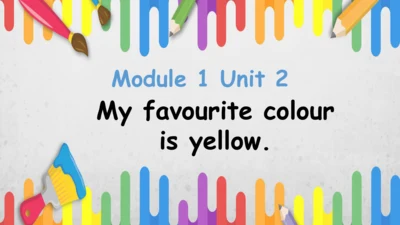 Module 1 Unit 2 My favourite colour is yellow课件(共2