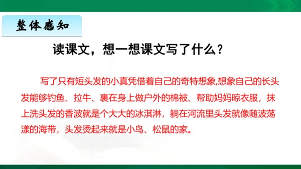 部编版三下语文第五单元第16课小真的长头发课件