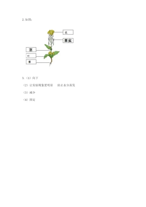 教科版四年级下册科学第一单元《植物的生长变化》测试卷精华版.docx
