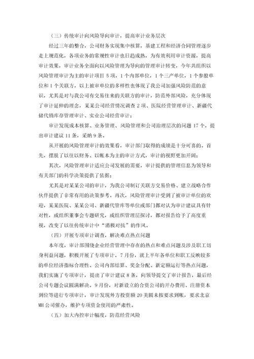 公司审计财务工作总结.docx