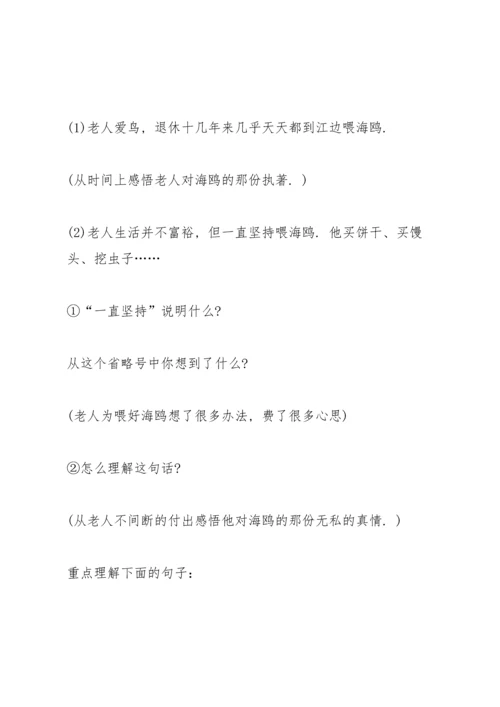 语文A版四年级语文下册《老人和海鸥》教案.docx