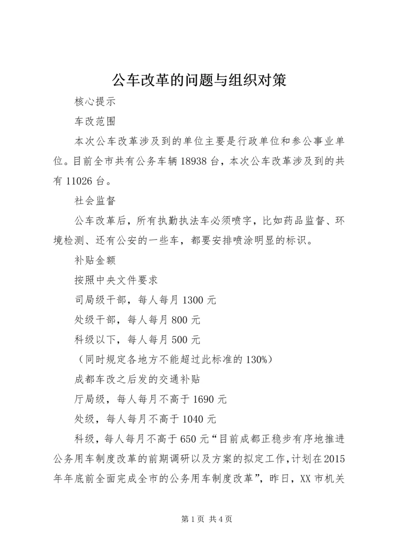 公车改革的问题与组织对策 (4).docx