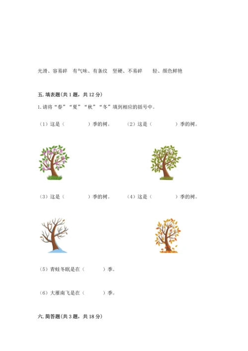 教科版科学二年级上册《期末测试卷》【名校卷】.docx