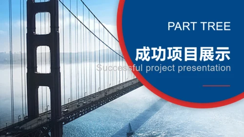 欧美风时尚雾中大桥通用PPT模板