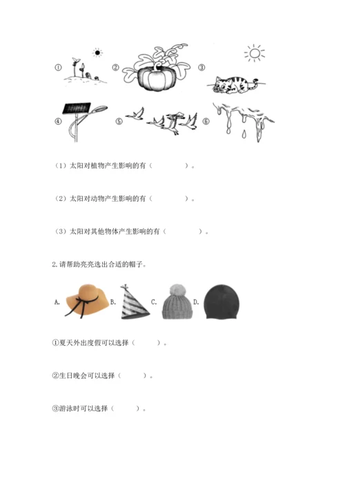 教科版二年级上册科学期末测试卷带答案ab卷.docx