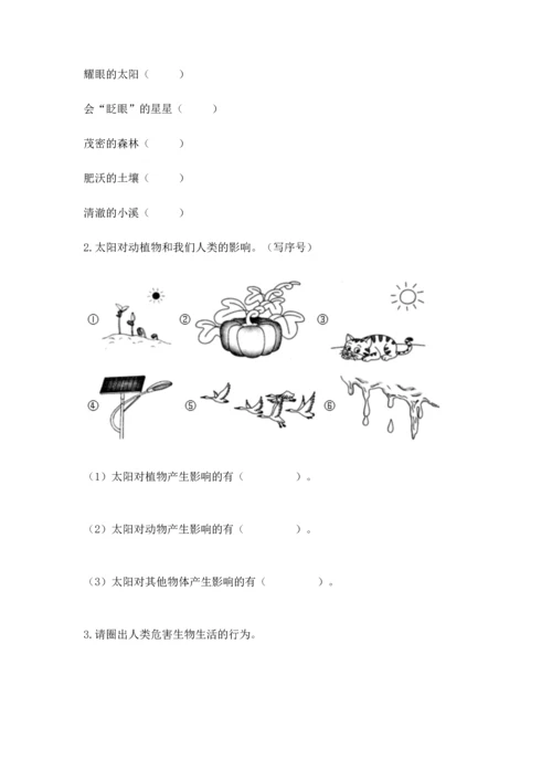 教科版科学二年级上册《期末测试卷》精品【a卷】.docx