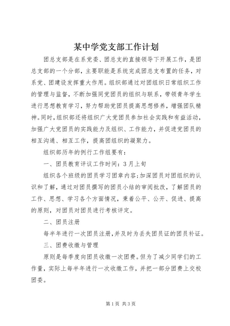 某中学党支部工作计划 (2).docx