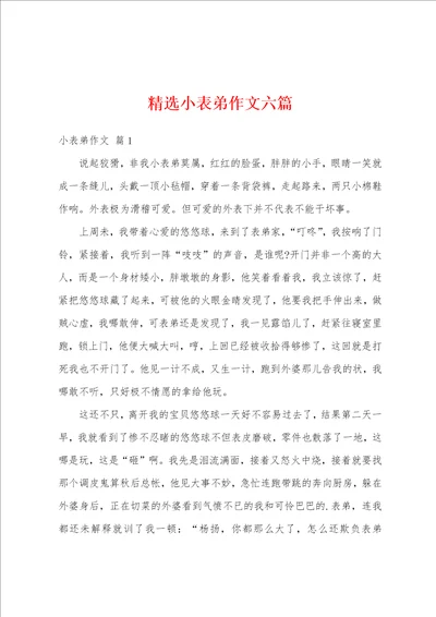 精选小表弟作文六篇