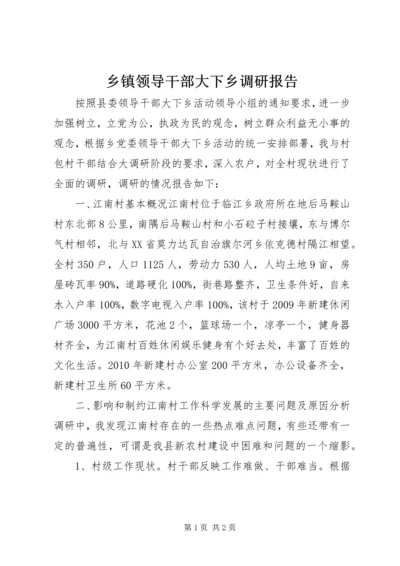 乡镇领导干部大下乡调研报告.docx