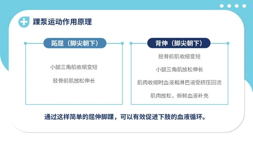 蓝色插画医疗医院医生护士踝泵运动健康宣教学习培训模板