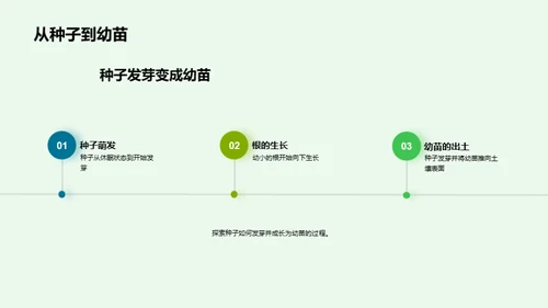 植物生长奥秘揭秘