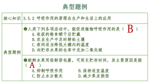 第三单元 植物的生活（单元复习课件）2023-2024学年七年级生物上册同步精品课件（人教版）(共3