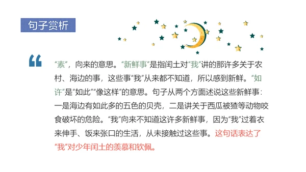 少年闰土语文教学课件PPT模板