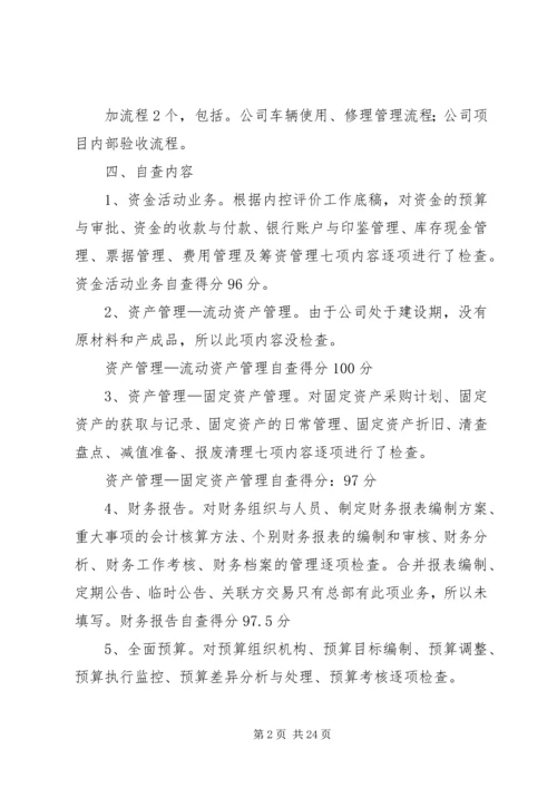 可利公司企业内控自查报告.docx