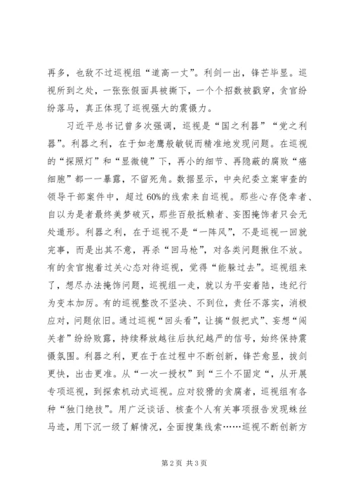 观看《巡视利剑》学习心得 (3).docx