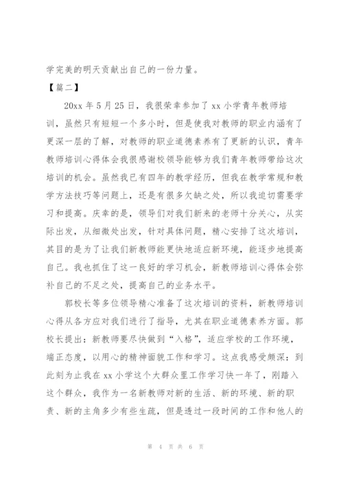 青年教师培训工作总结1000字.docx