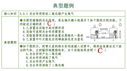 第三单元 植物的生活（单元复习课件）2023-2024学年七年级生物上册同步精品课件（人教版）(共3