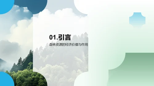 绿色未来：森林经济新篇章