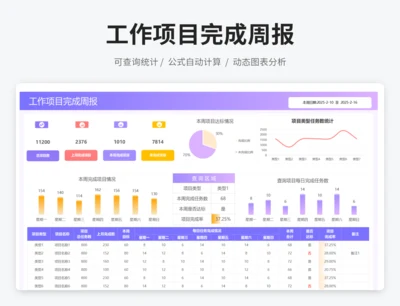工作项目完成周报