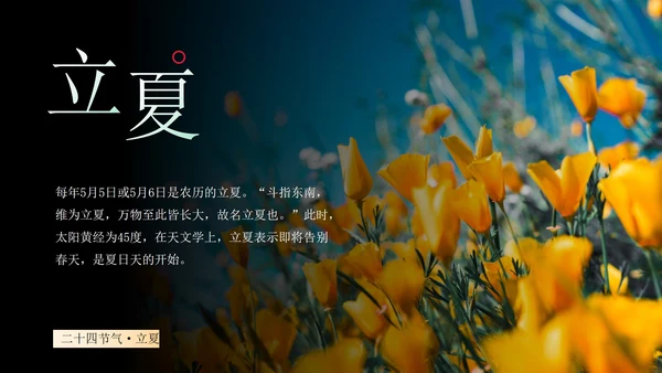 蓝色实景风景二十四节气科普主题教育带内容PPT模板