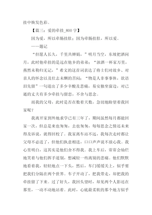 牵挂作文800字0.docx