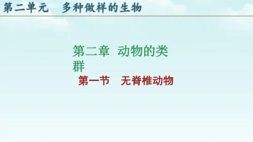 人教版（2024）七年级上册2.2.1 无脊椎动物 课件(共19张PPT)