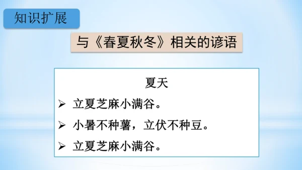1 春夏秋冬   (教学课件)