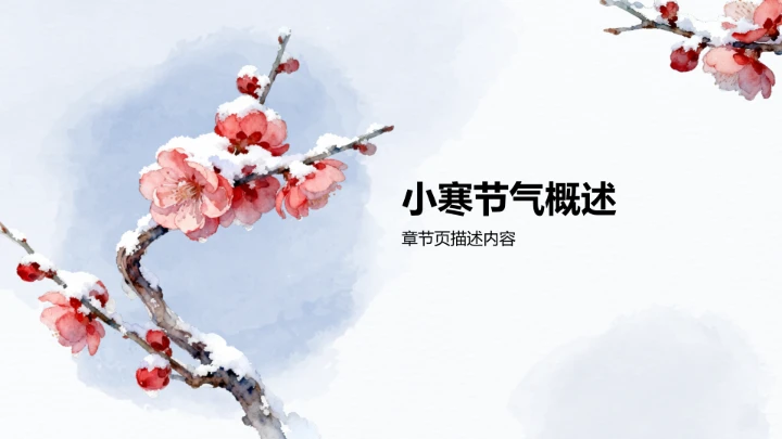 二十四节气小寒PPT模板
