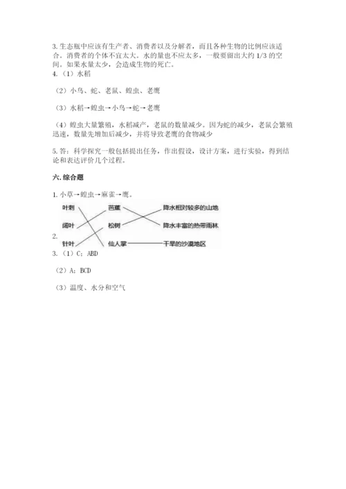 教科版科学五年级下册第一单元《生物与环境》测试卷附答案【综合卷】.docx