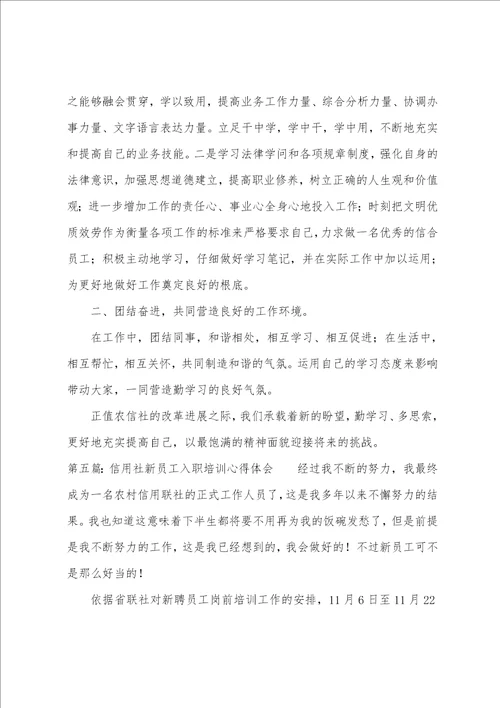 信用社新员工工作体会