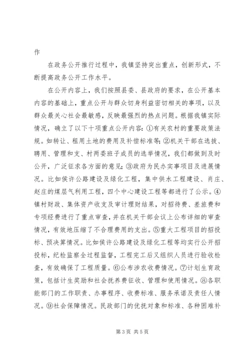 乡镇政务公开小结汇报材料.docx