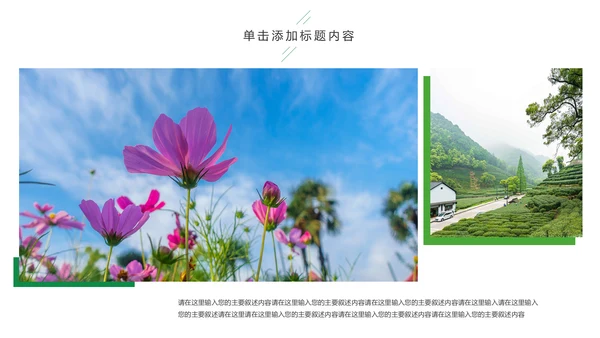 最美乡村乡村旅游美丽乡村新农村建设PPT