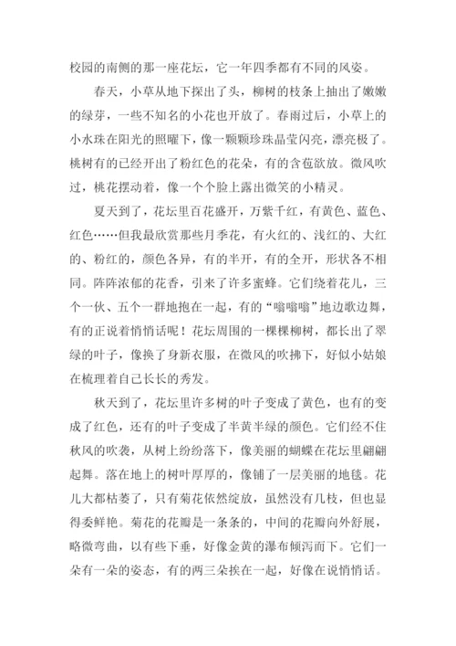 描写校园风景的作文800字.docx