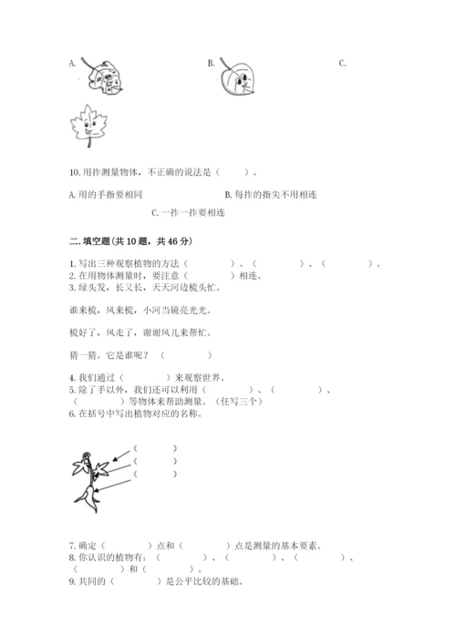 教科版一年级上册科学期末测试卷（考试直接用）.docx