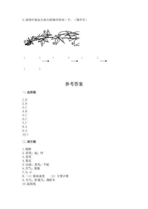 教科版一年级上册科学期末测试卷及答案（精品）.docx