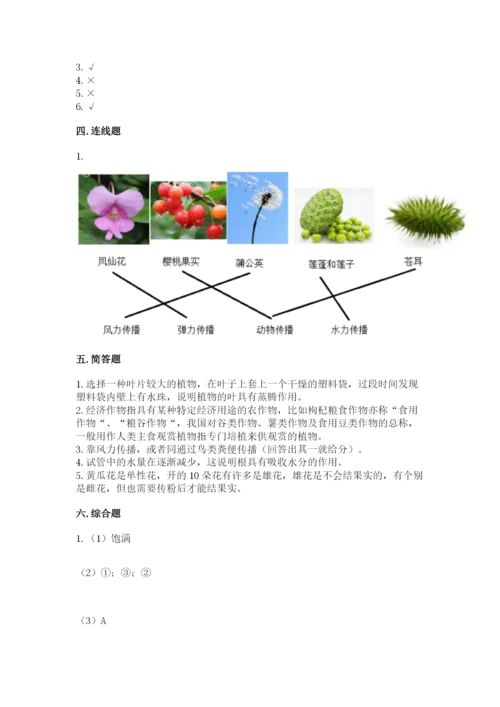 科学四年级下册第一单元《植物的生长变化》测试卷及答案【考点梳理】.docx