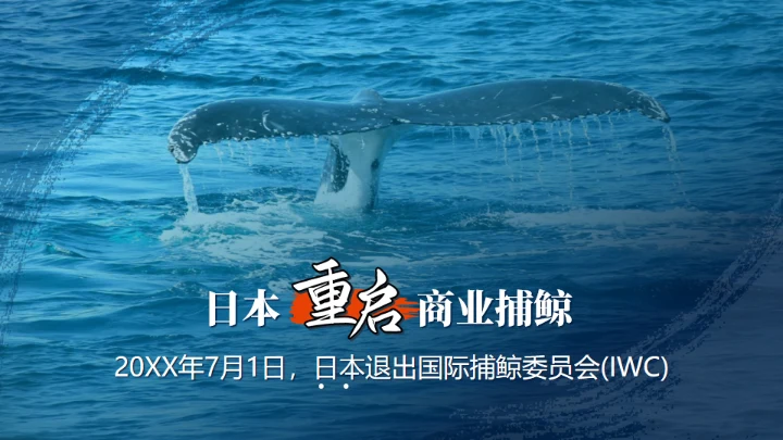 鲸落万物生鲸鱼知识讲座通用PPT模板