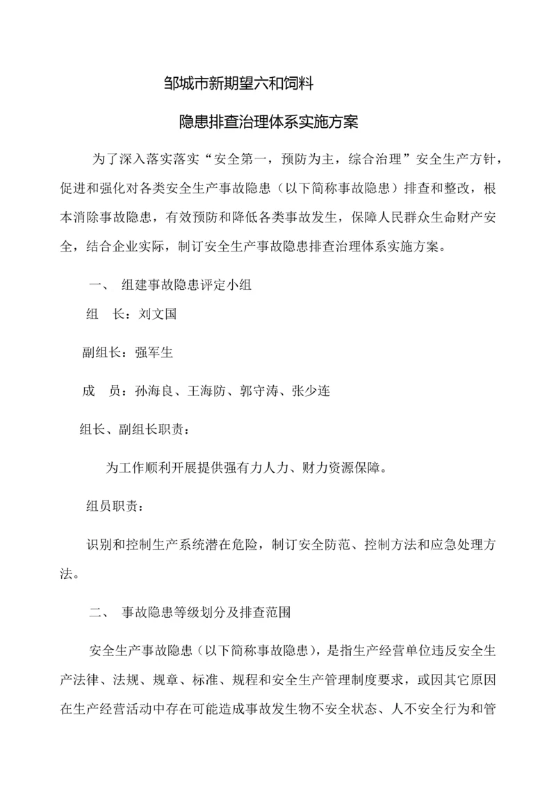 新希望六和饲料有限公司隐患排查治理综合体系实施专业方案.docx