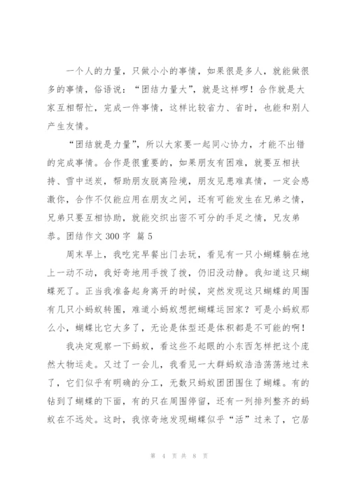有关团结作文300字8篇.docx