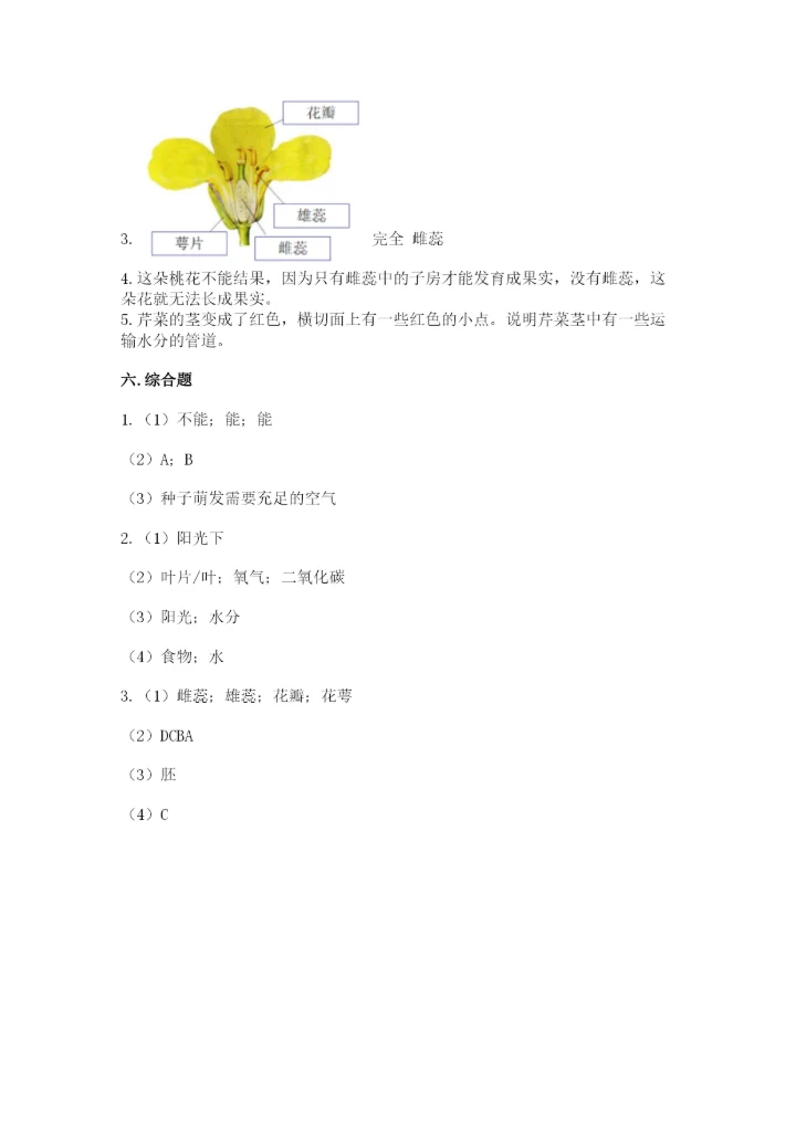 教科版四年级下册科学第一单元《植物的生长变化》测试卷含答案（最新）.docx