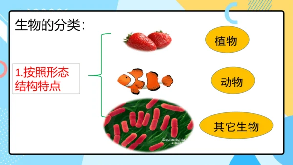 1.1.1生物的特征课件人教版生物七年级上册课件(共29张PPT)