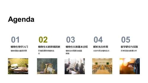 探索植物生长