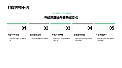 谷雨养殖应对策略