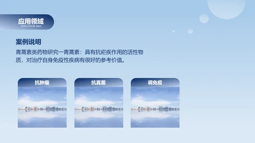 简约风浅蓝有机化学毕业论文答辩