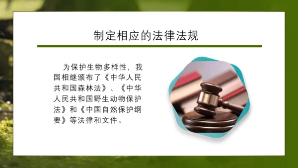人教版生物八年级上册6.3《保护生物的多样性》课件(共27张PPT)