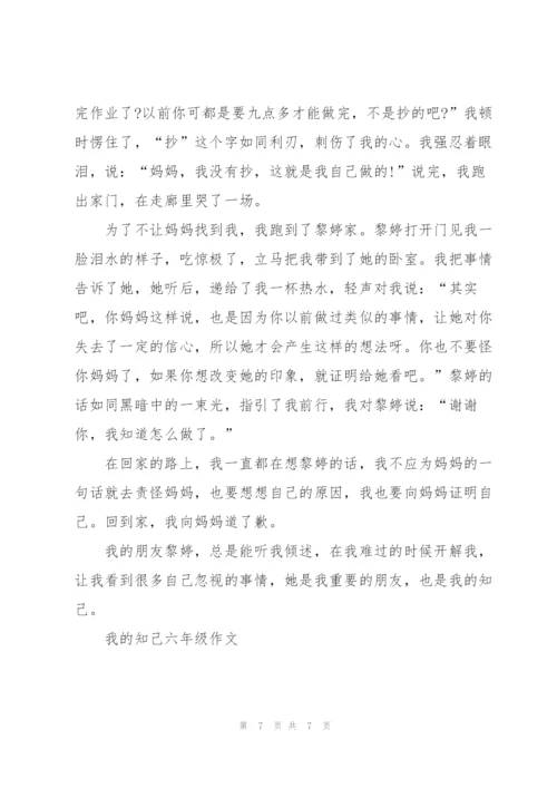 我的知己六年级作文6篇.docx